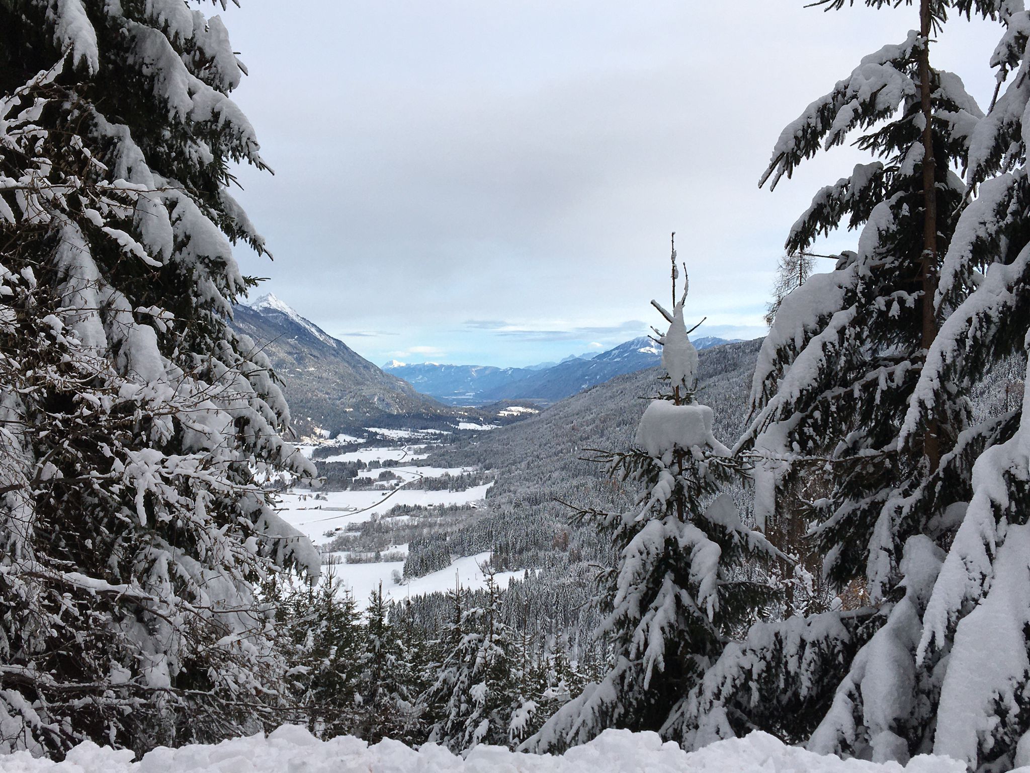 Gitschtal im Winter mit Blick durch die Wälder