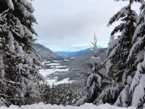 Gitschal im Winter mit Blick durch die Wälder